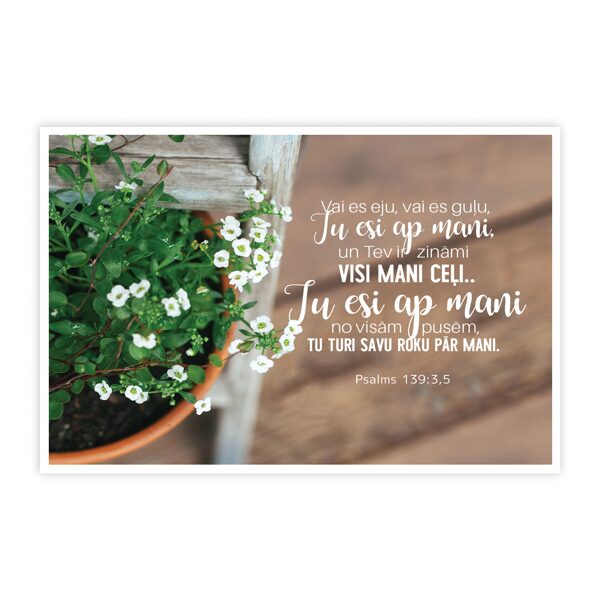 Kartīte "Tu esi ap mani" (zaļā)