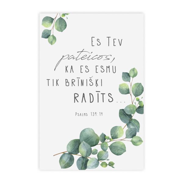 Kartīte "Brīnišķi radīts"